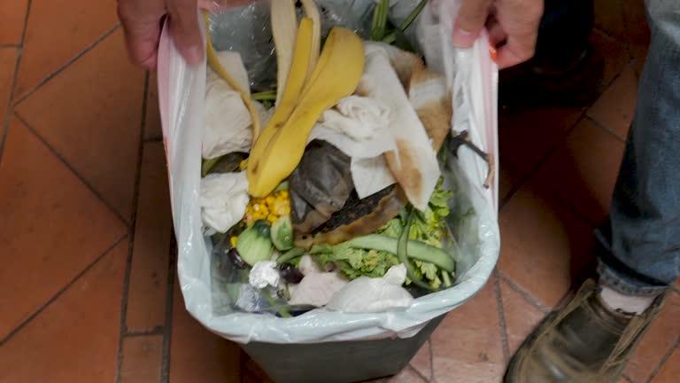 Best Dumpster Rental Services  in Eagleton Village, TN
